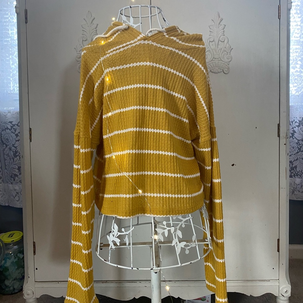 Caution to the wind hooded crop top